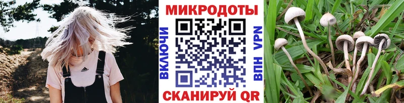 магазин продажи   блэк спрут зеркало  Галлюциногенные грибы Cubensis  Солнечногорск 