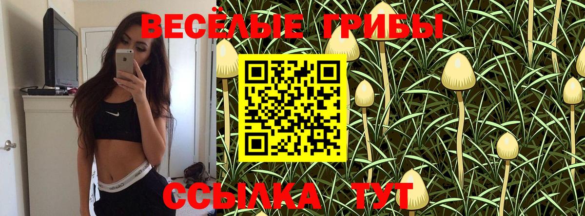 Солнечногорск  Псилоцибиновые грибы прущие грибы  Вход с VPN  что такое   Галлюциногенные грибы Cubensis 